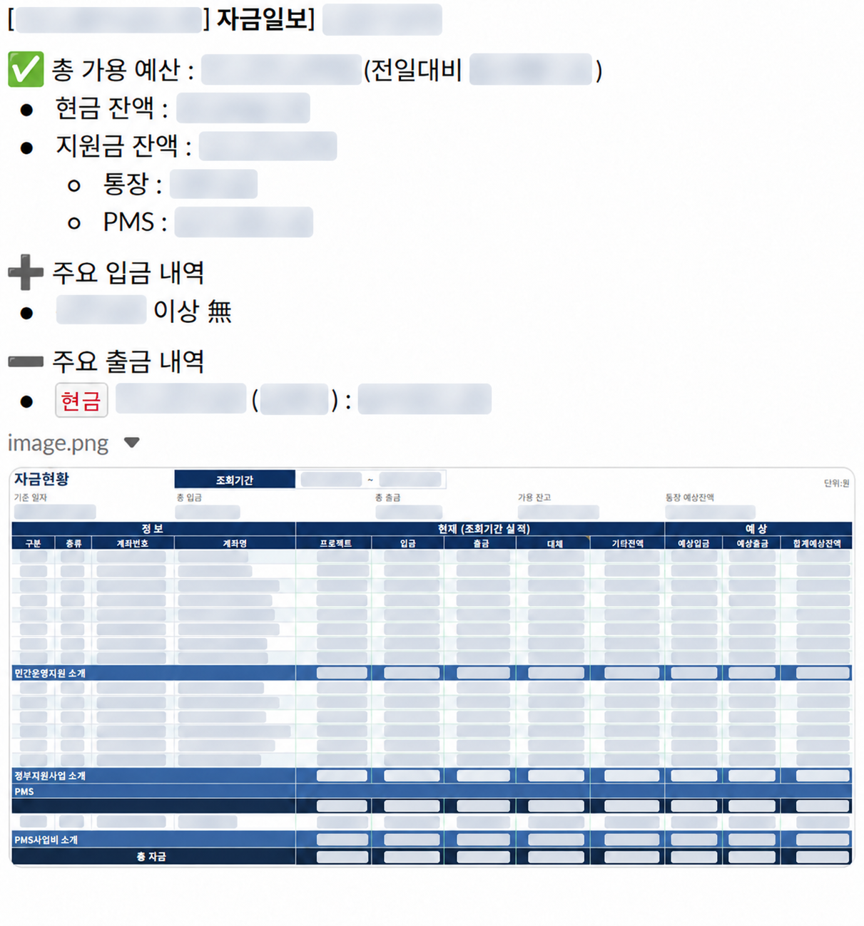 자금일보 Slack 보고 화면의 가림 편집본. 금액과 식별정보는 가렸습니다.